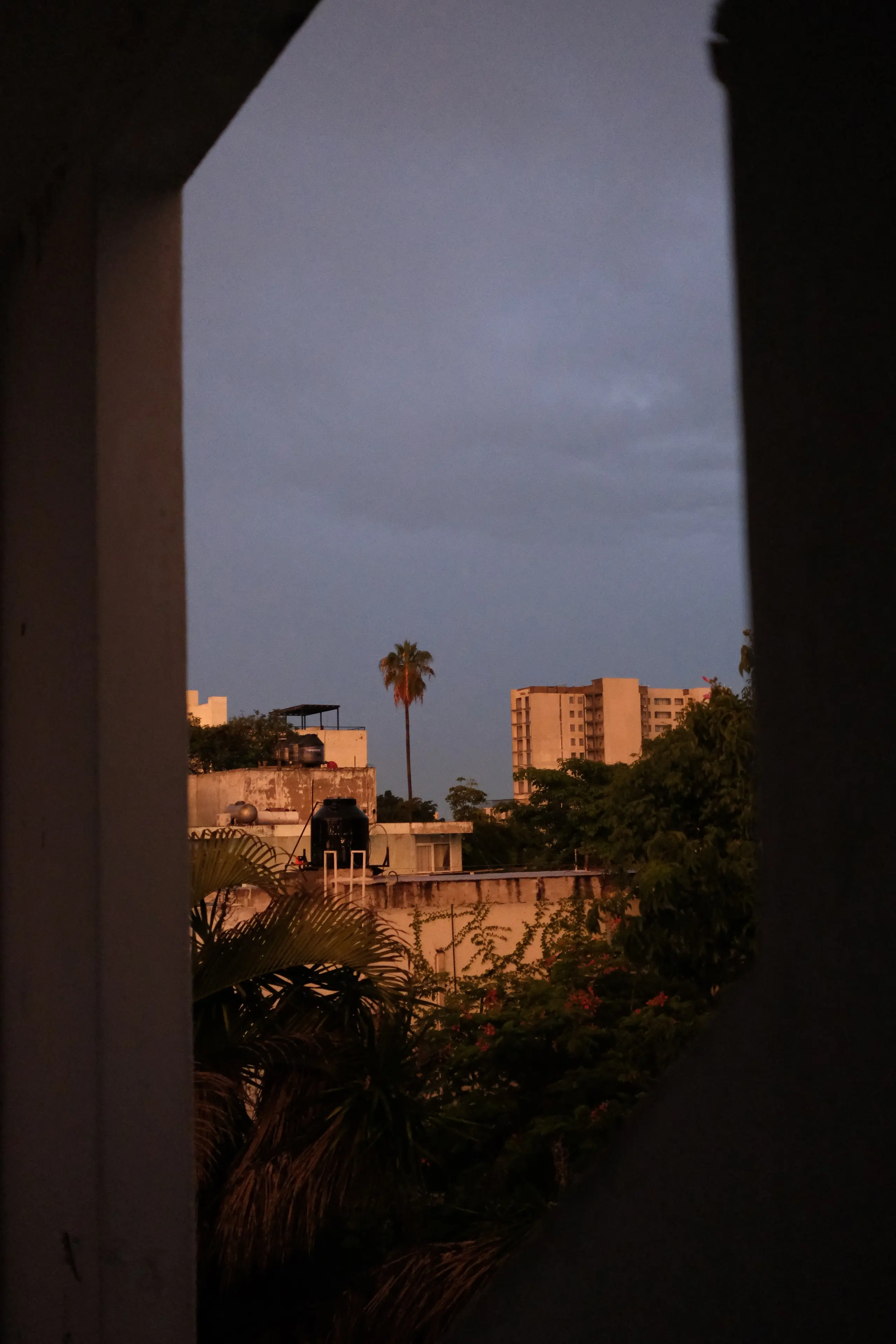 DSCF0311(1).jpeg